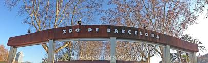 Résultat de recherche d'images pour "photo zoo barcelone"