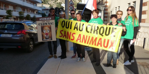 image-manif-cirque.jpg